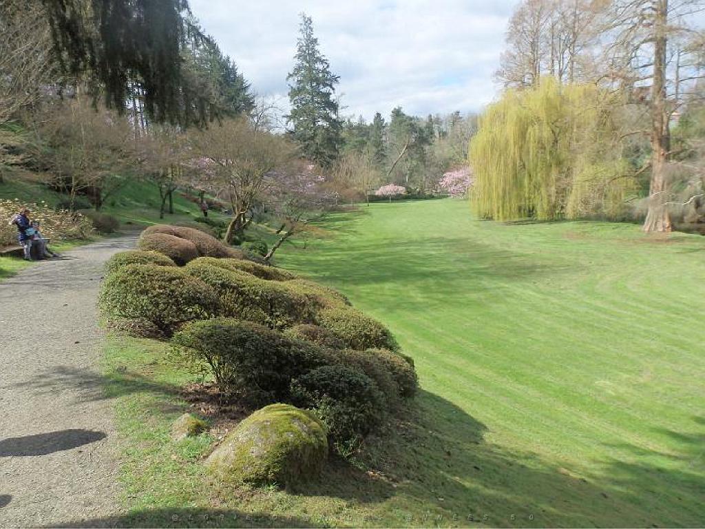 149 PARC ORIENTAL DE MAULEVIER MAINE ET LOIRE 2016 N0_000037.jpg